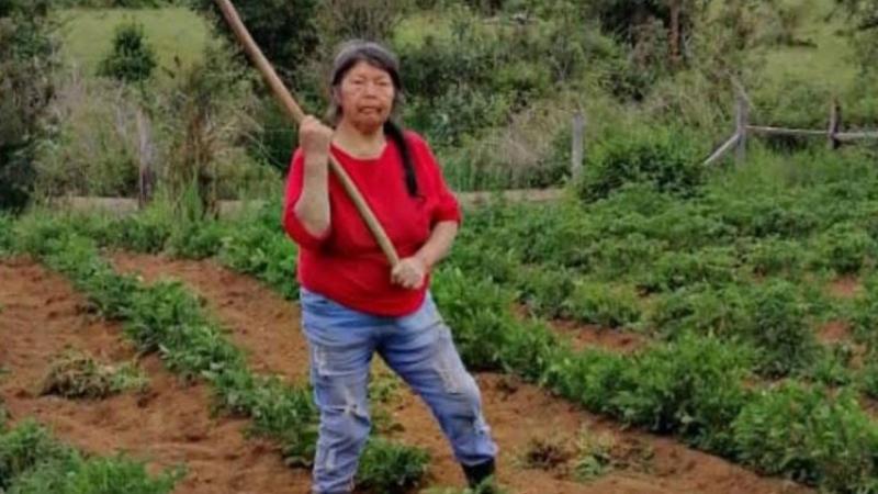 Julia Chuñil - dirigente mapuche desaparecida.