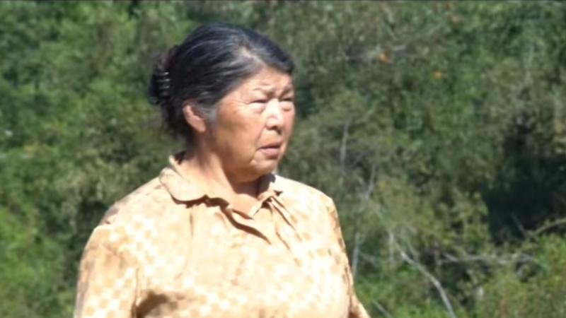 Julia Chuñil - dirigente mapuche desaparecida.