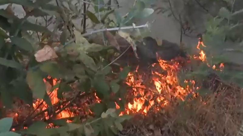 Notero de Tu Día preocupa a sus compañeros por estar cerca de foco de incendio