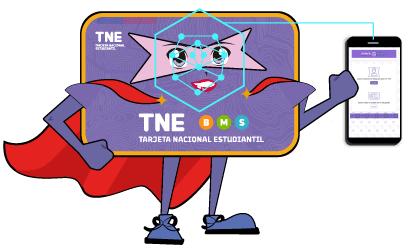 Revisa cómo sacarte la foto de la TNE 2026 en internet - Junaeb