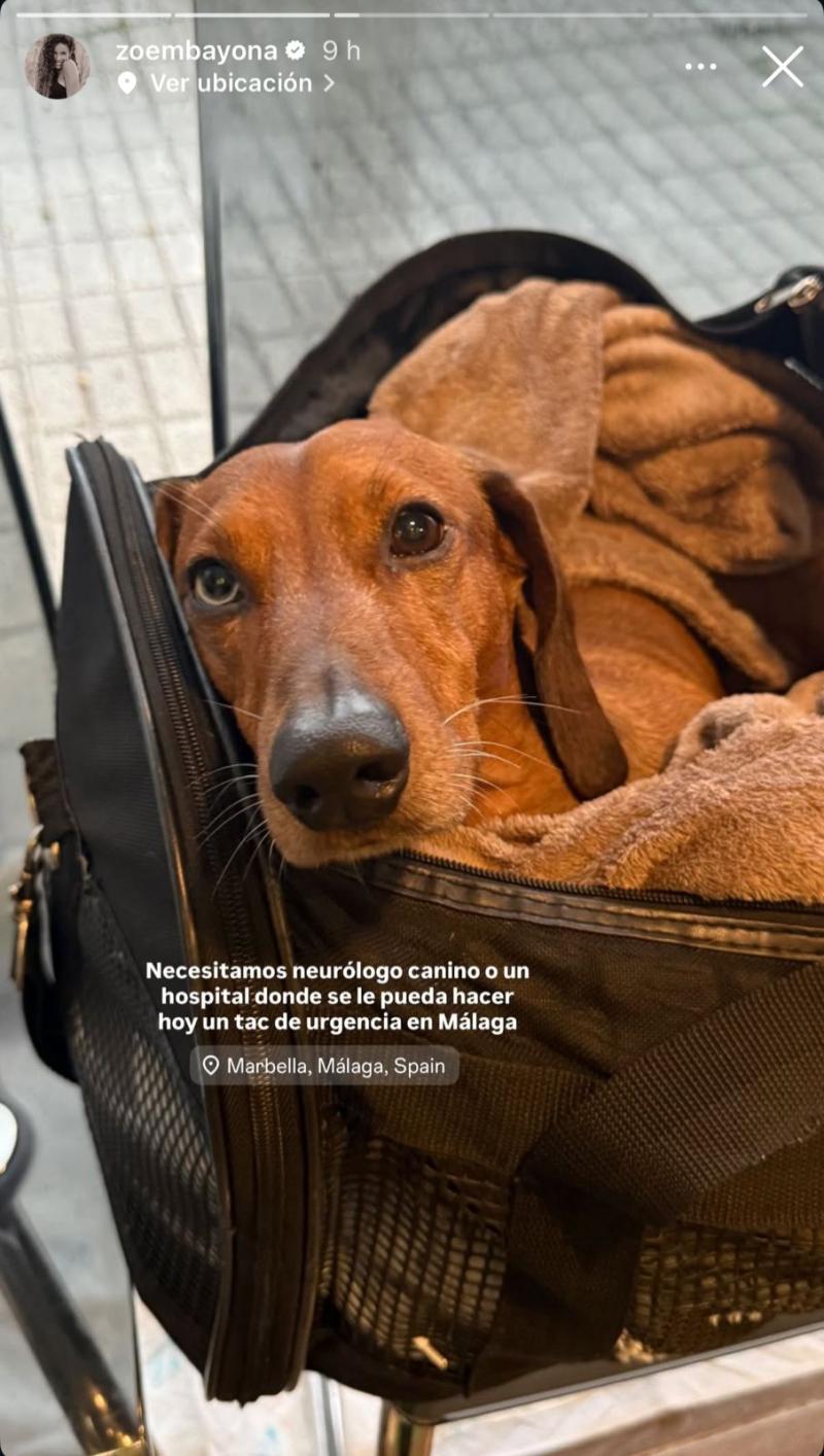 Historia de Zoe Bayona | Instagram