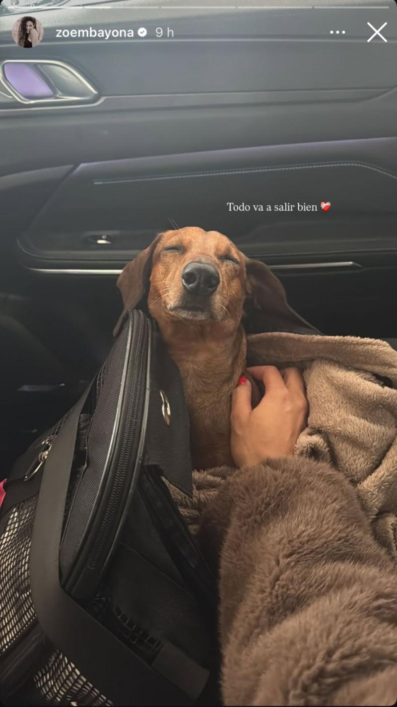 Historia de Zoe Bayona | Instagram