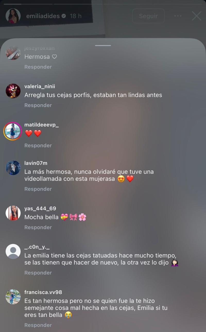 Comentarios que recibió Emilia Dides por sus cejas - Instagram