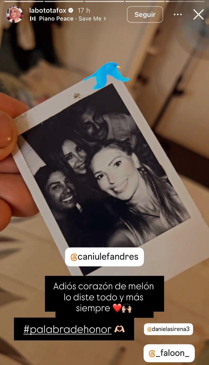 Historia de Botota Fox | Instagram