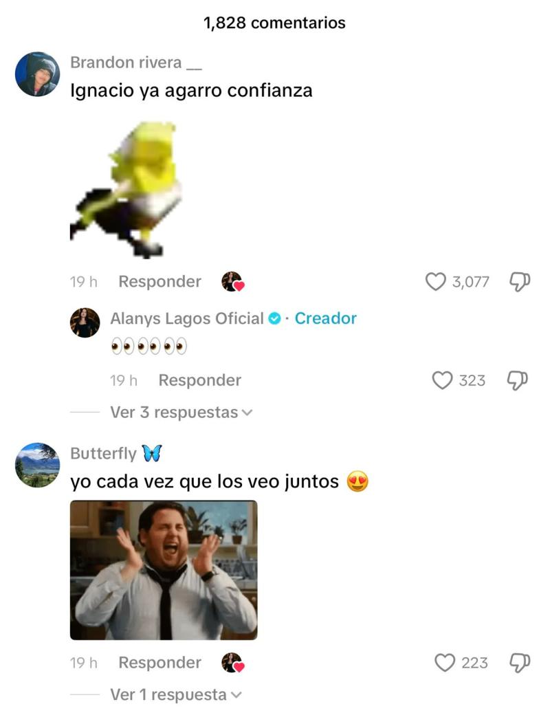 Reacciones que generó el video de Alanys Lagos junto a Ignacio Ormazabal - Tiktok