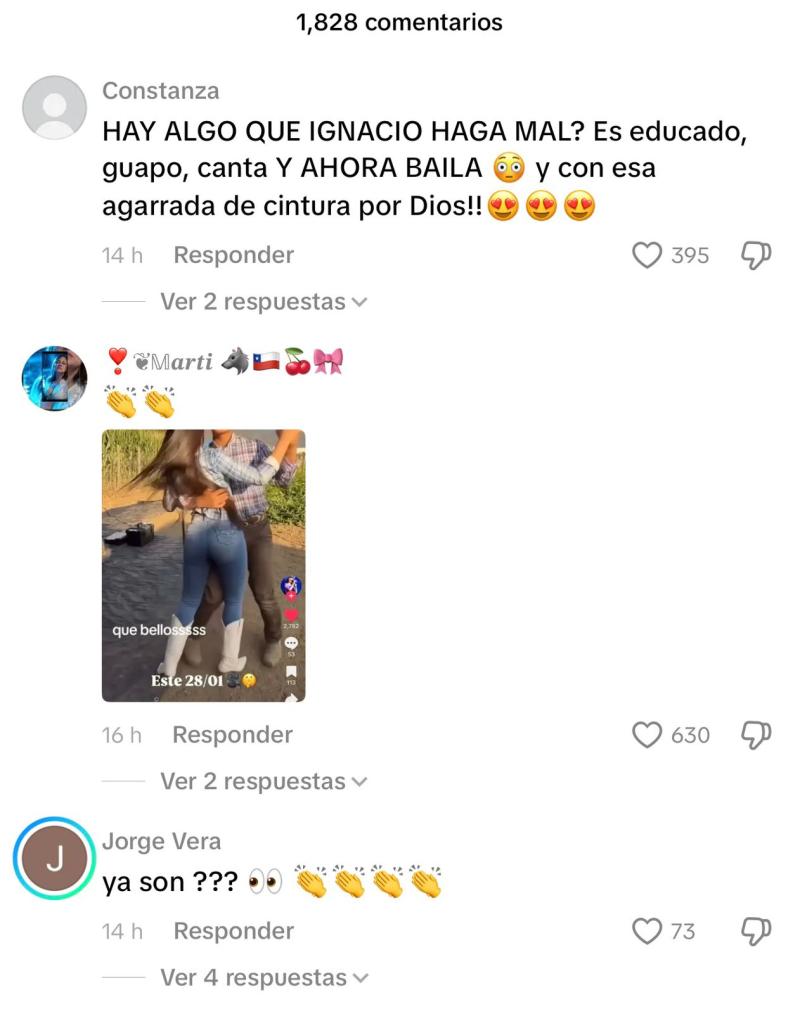 Reacciones que generó el video de Alanys Lagos junto a Ignacio Ormazabal - Tiktok