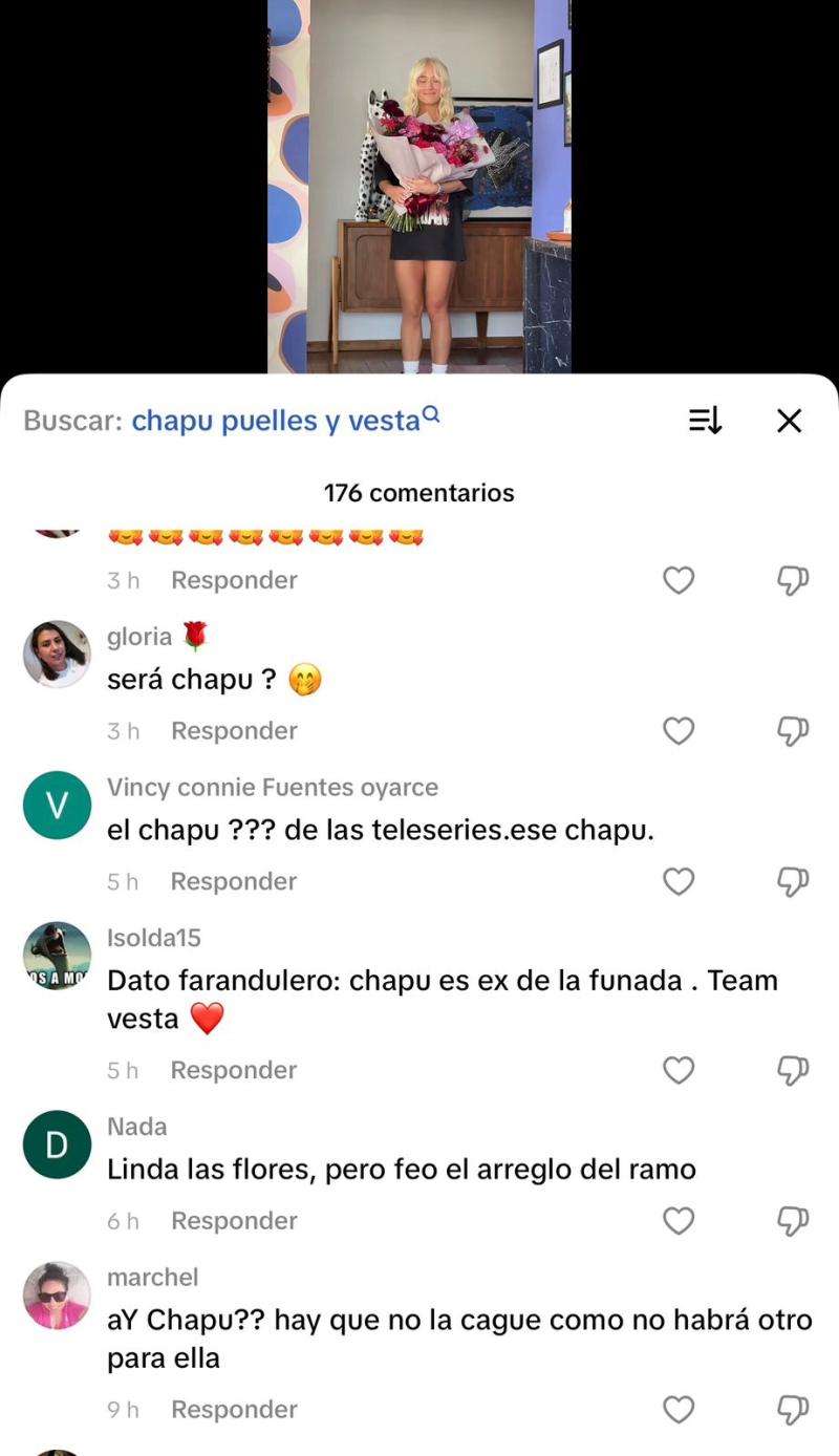 Usuarios recordaron relación de Cata Vallejos y Francisco Puelles - Captura Tiktok