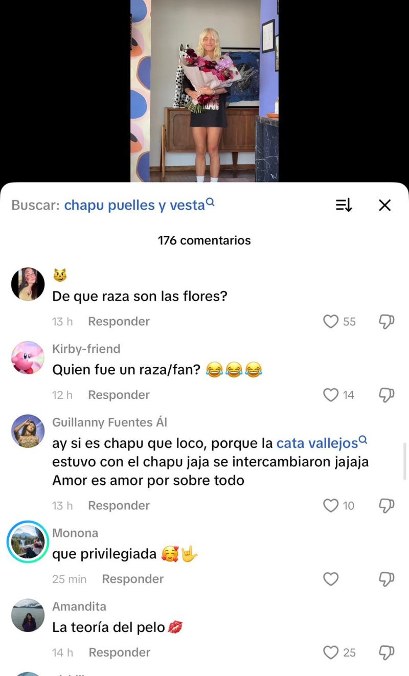Usuarios recordaron relación de Cata Vallejos y Francisco Puelles - Captura Tiktok