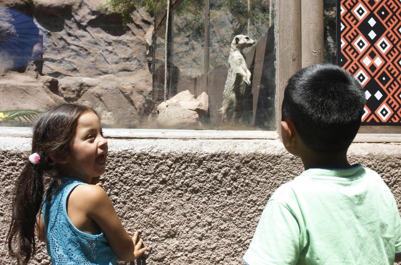 Zoológico Metropolitano reabrió sus puertas GRATIS - Agencia Uno