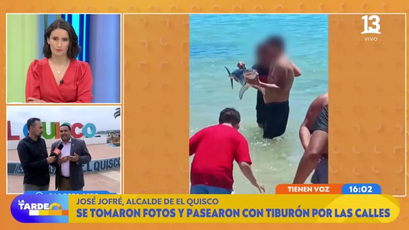 Tiburón | El Quisco | La tarde es nuestra