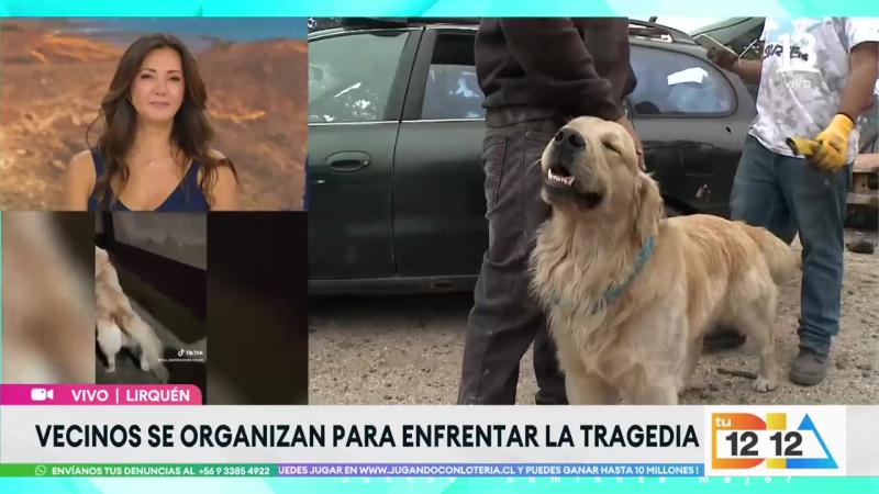 Renato, el perrito influencer | Incendio Lirquén | Tu Día
