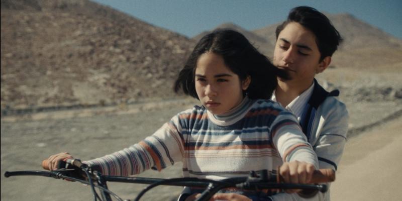 Película chilena La misteriosa mirada del flamenco. Créditos: Cactus Medios.