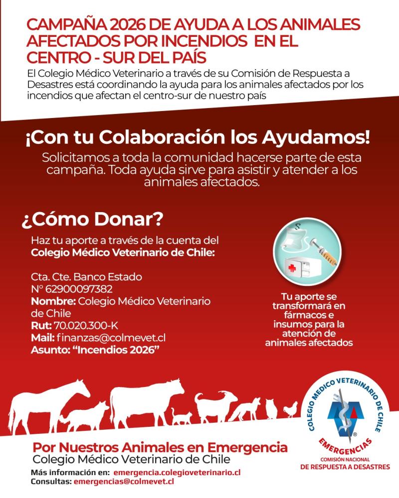 Donación para animales afectados por los incendios