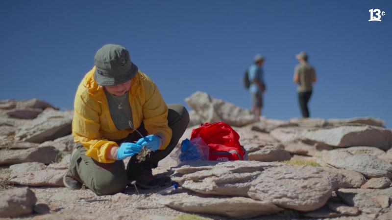 Científica Jenny Blamey en Sobre la Tierra. Créditos: 13C