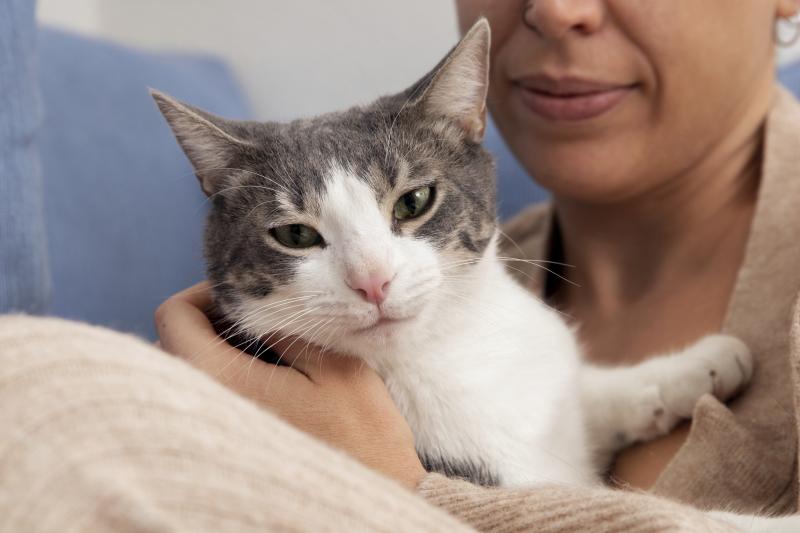 Conoce más de la panleucopenia felina - Freepik