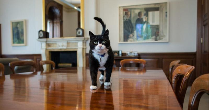 Palmerston “jefe cazador” del Ministerio de Asuntos Exteriores del Reino Unido