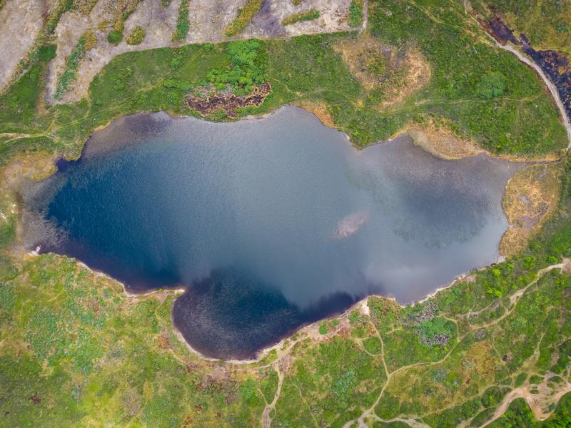Humedales en Chile. Créditos: Agencia UNO.