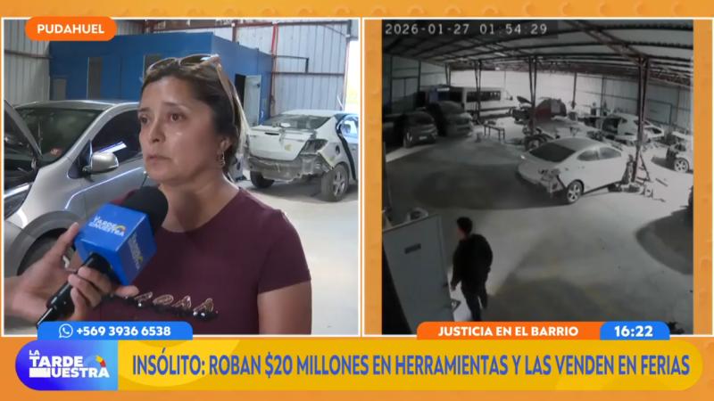 Pudahuel: roban taller mecánico y golpean al perro guardián un día antes.
