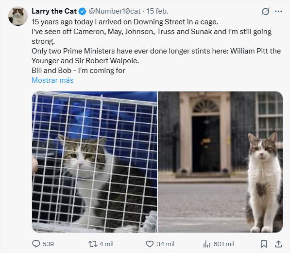 Mensaje de Larry por sus 15 años en el cargo como “Jefe Cazador de Ratones de la Oficina del Gabinete”.