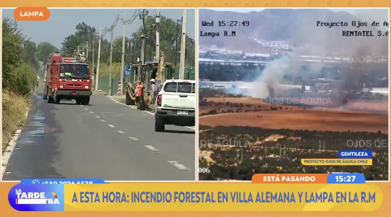 Incendio forestal provoca evacuación en la comuna de Lampa.