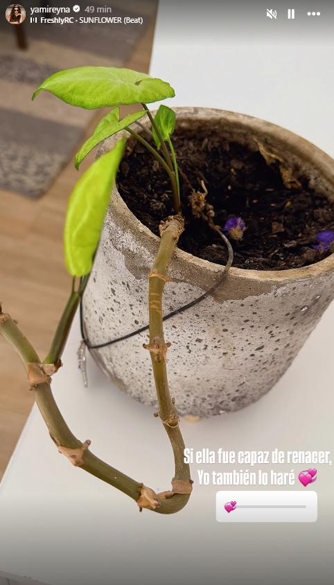 Historia de Yamila Reyna | Instagram