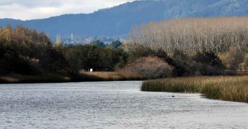 Día Mundial de los Humedales / Créditos: Agencia Uno