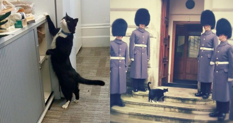 Palmerston antes de su jubilación