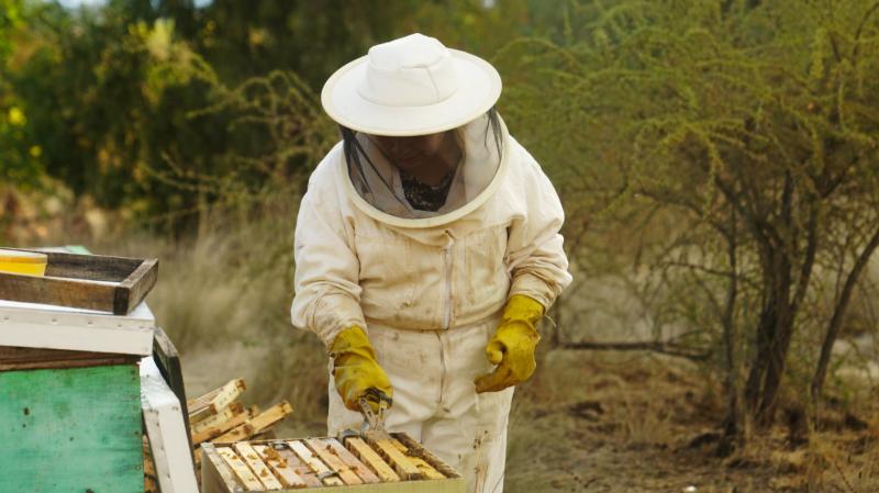 El poder de la colaboración llega a 13C: Con el estreno de "Impacto Local".