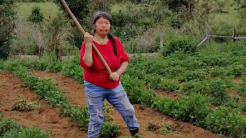 El caso de Julia Chuñil