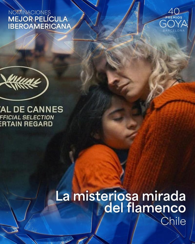 Producciones chilenas llegarán a representar al país en los Premios Goya 2026 / Créditos: Instagram @academiadecine