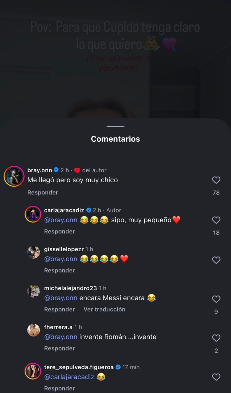 El coqueto comentario que dejó BrayOn a Carla Jara - Instagram