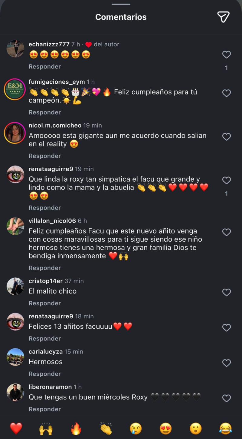 Comentarios que generó la publicación de Roxana Hernández - Instagram