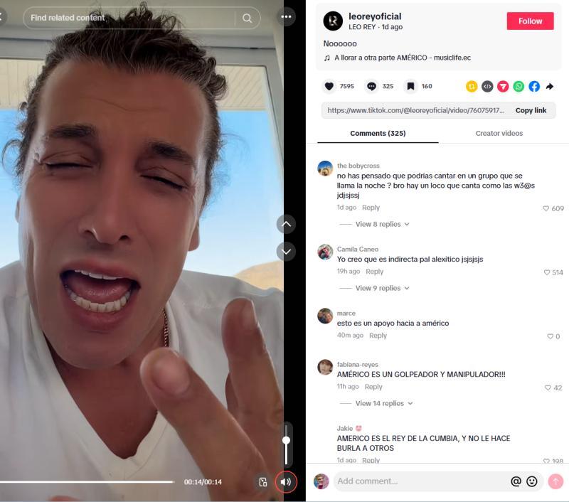 Video de Leo Rey que usuarios en redes creen que es una indirecta contra Américo | TikTok