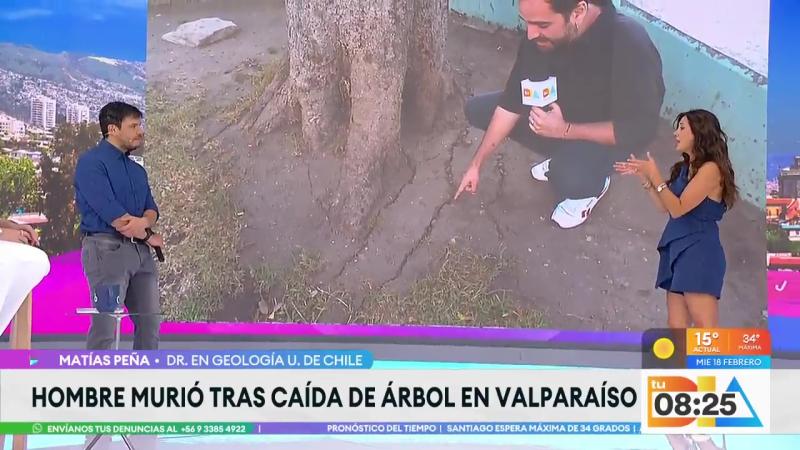 Un hombre murió y otro resultó herido por caída de árbol en Valparaíso | Tu Día