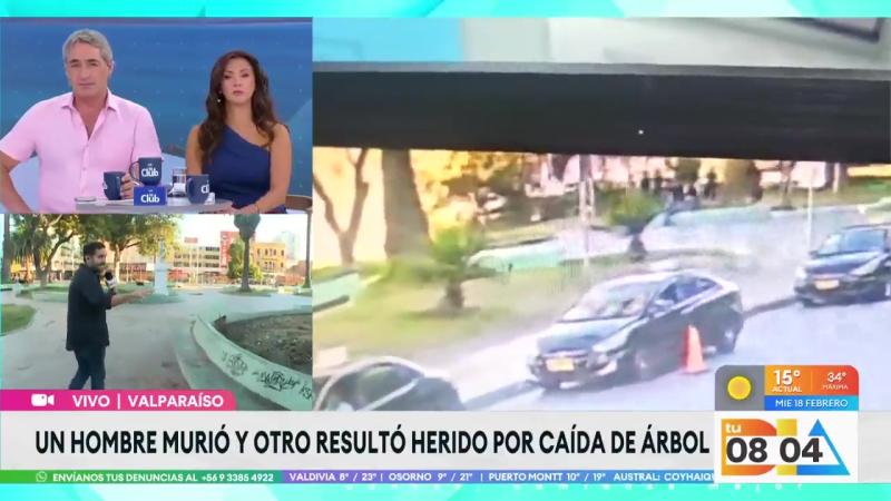 Hombre murió por caída de árbol en Valparaíso | Tu Día