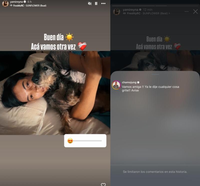 Yamila Reyna recibe apoyo de un colega actor Julio Jung | Instagram