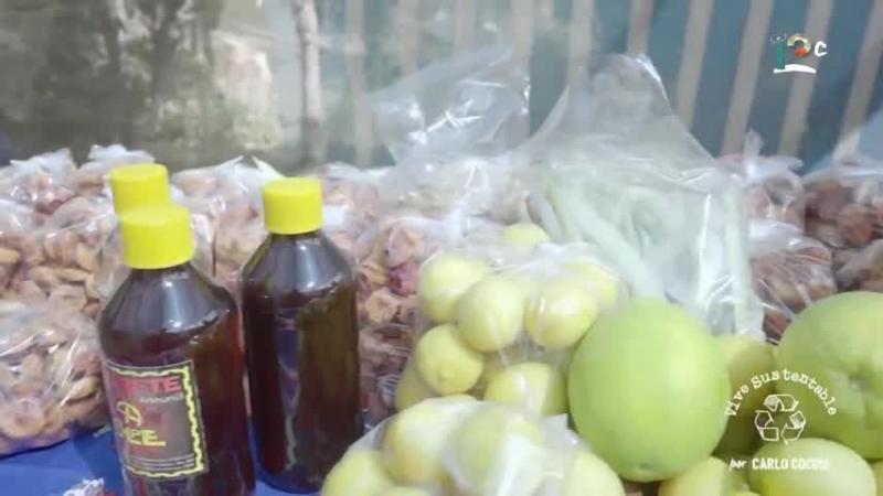 Mercado campesino INDAP. Créditos: 13C