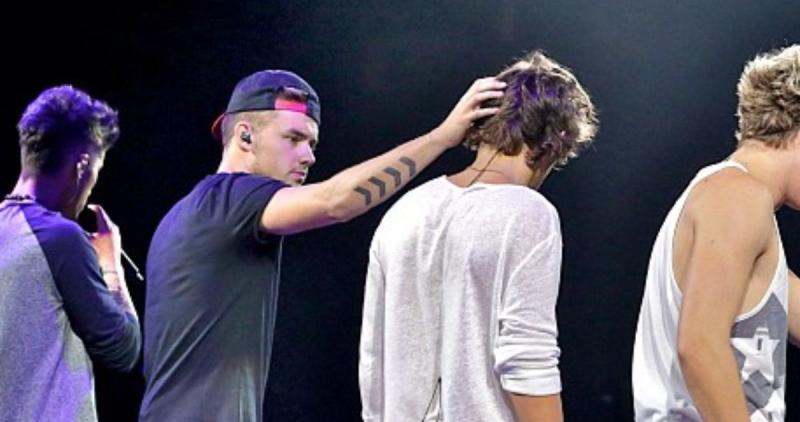 Styles y Payne en conciertos de One Direction