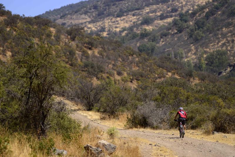 Quebrada de La Plata en Maipú. Créditos: 13C.