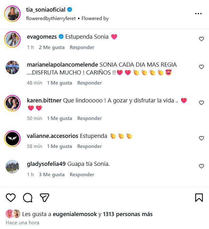 Comentarios que recibió Tía Sonia por foto en el sur - Instagram
