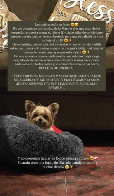 Kel Calderón publicó emotiva reflexión sobre su perrita de 12 años en agosto 2025 | Instagram