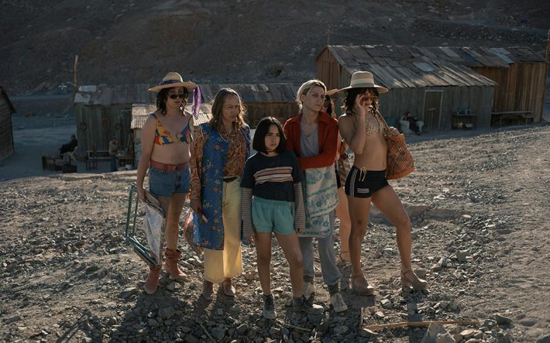 La misteriosa mirada del flamenco. Créditos: Cactus Medios.