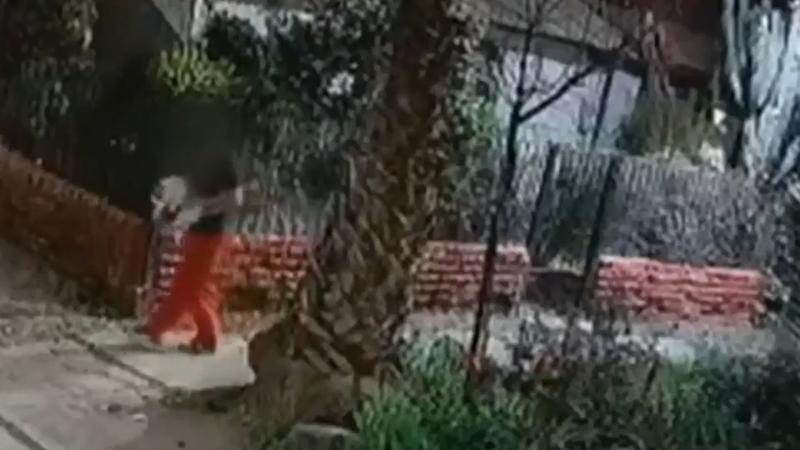 El secuestrador de gatos que impactó en "La tarde es nuestra"