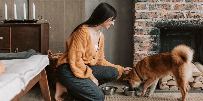 Programa Mujeres Jefas del Hogar