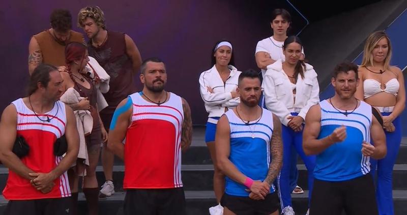 Los cuatro competidores de esta prueba de salvación.