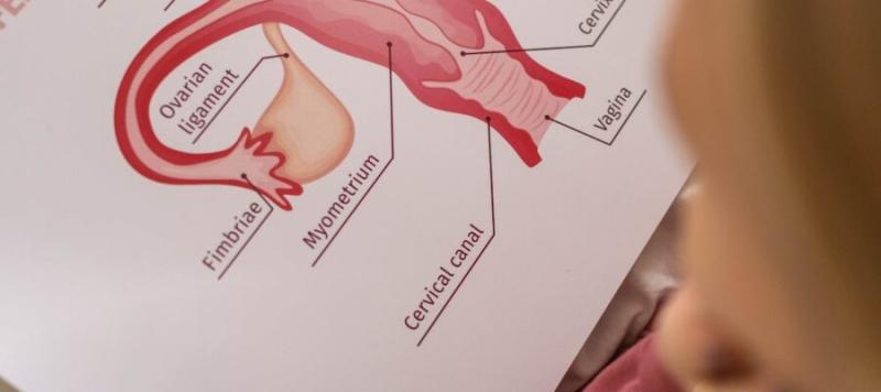 Cáncer de cuello uterino. Créditos: Pexels.