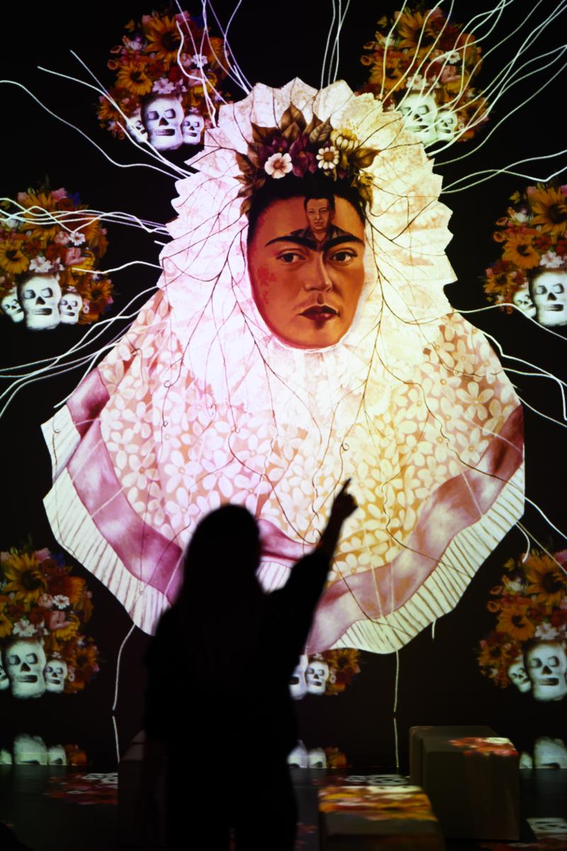 Exposición Viva Frida Kahlo llega a Santiago. Créditos: ©Lukas Schulze