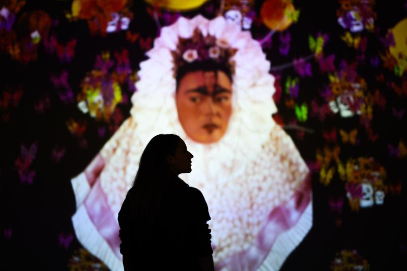 Viva Frida Kahlo llega a Santiago. Créditos: ©Lukas Schulze