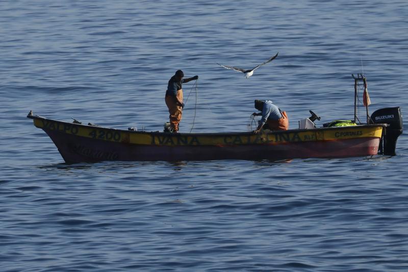 Subsidio al gas y aporte al sector pesquero - Aton.