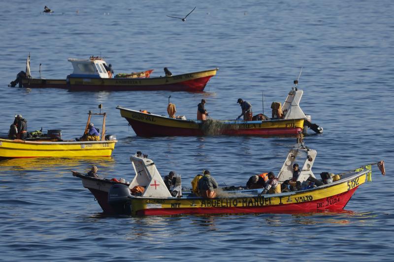 La pesca artesanal también recibirá el bono de $100 mil